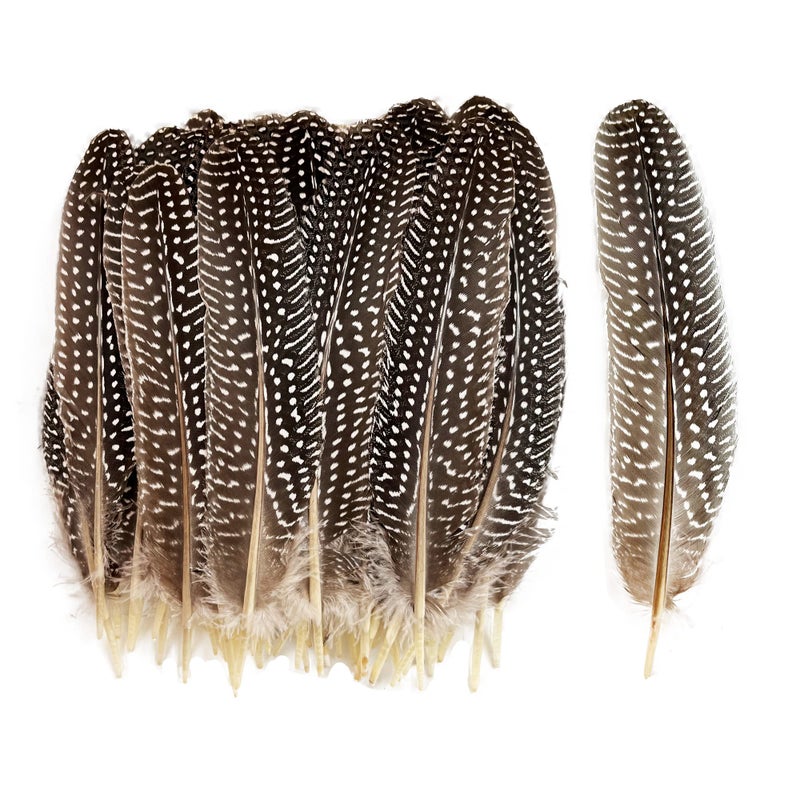 HAPPY FEATHER 6-9 inch Natural Guinea Wing Plumage Feather for DIY Craft, Jewelry and Clothing Decoration Pack of 20-Natural - Image 1